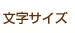 文字サイズ